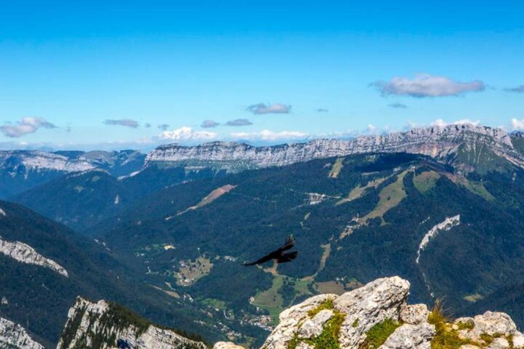 Le Mas Dauphinois Le Grand-Lemps ภายนอก รูปภาพ